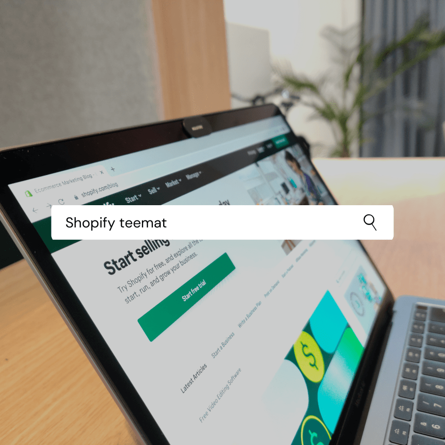 Shopify teemat - ymmärrä teemojen sielunmaisema